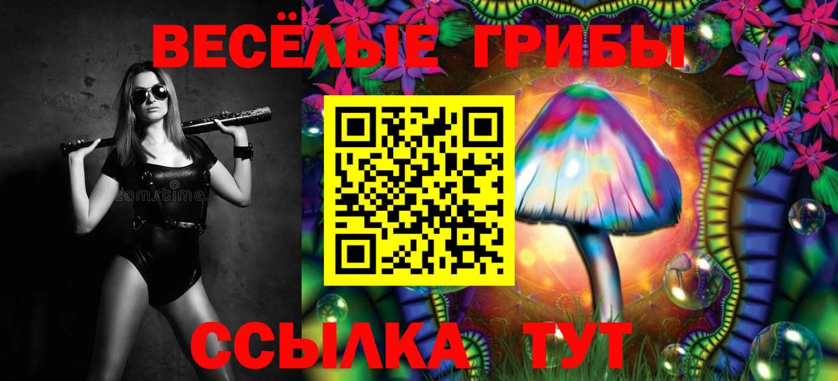 Галлюциногенные грибы GOLDEN TEACHER  Вход с VPN  Электрогорск 